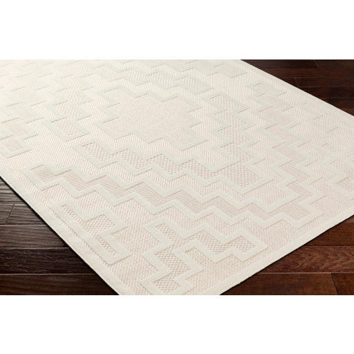 Surya San Diego SFG-2330 Off-White Modern  Rug