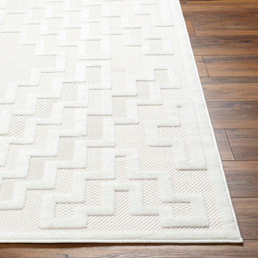 Surya San Diego SFG-2330 Off-White Modern  Rug