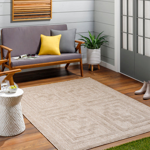 Surya San Diego SFG-2334 Light Brown Modern  Rug