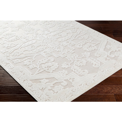 Surya San Diego SFG-2339 Off-White Modern  Rug