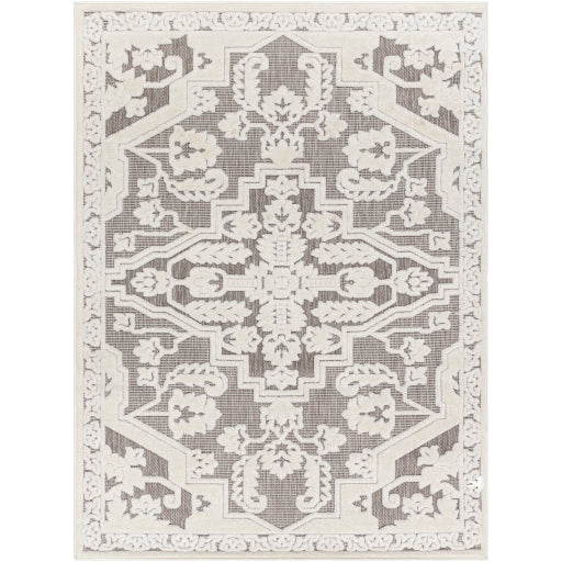 Surya San Diego SFG-2340 Gray Modern  Rug