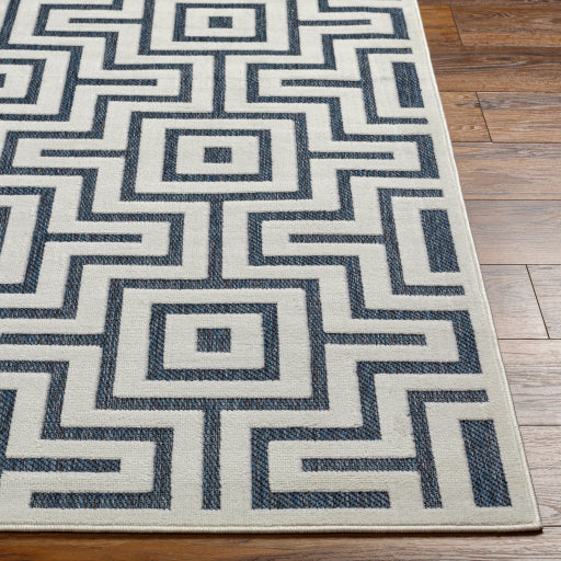 Surya San Diego SFG-2346 Off-White Modern  Rug