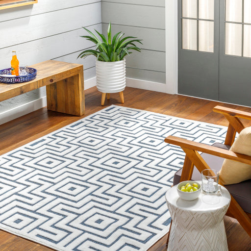 Surya San Diego SFG-2346 Off-White Modern  Rug