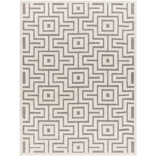 Surya San Diego SFG-2347 Gray Modern  Rug