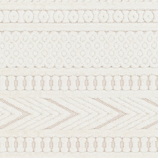 Surya San Diego SFG-2349 Off-White Modern  Rug