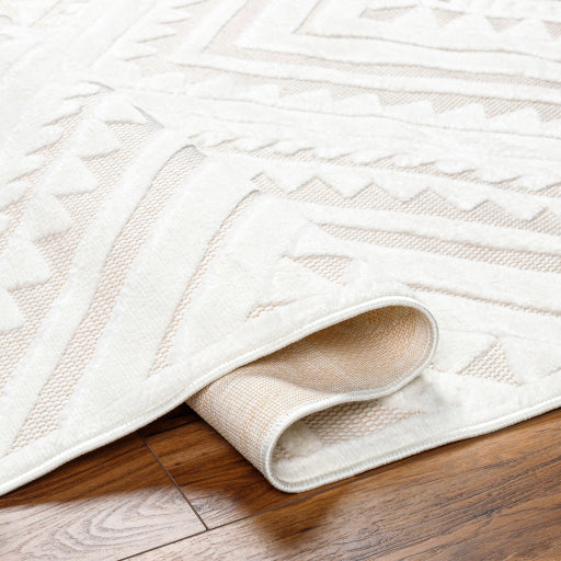 Surya San Diego SFG-2353 Off-White Modern  Rug