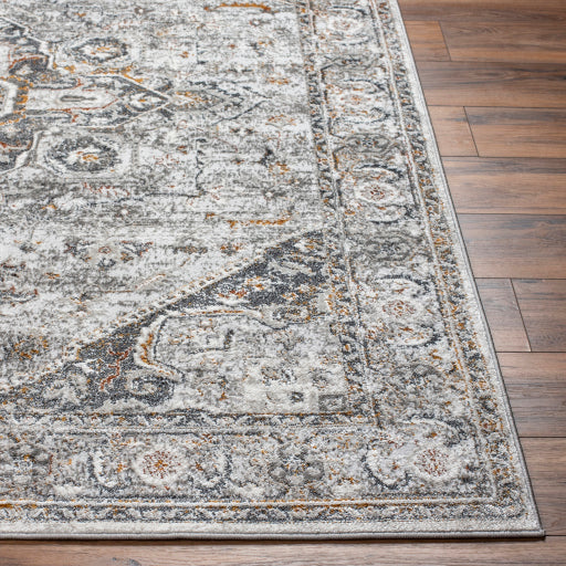 Surya San Francisco SFO-2326 Ivory Traditional  Rug