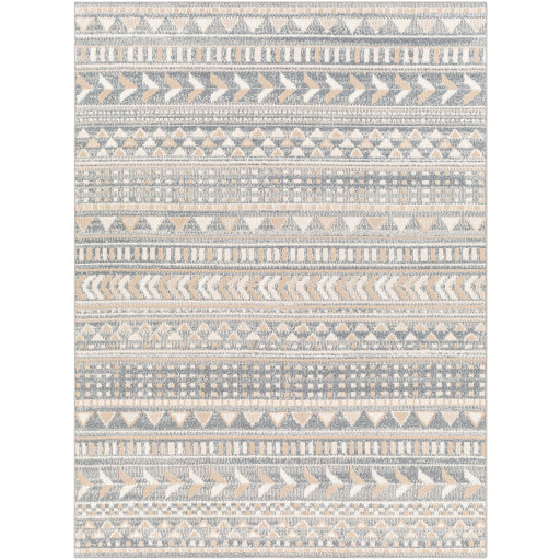 Surya Santana SNN-2304 Gray Global  Rug