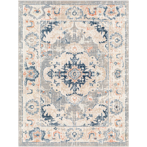 Surya Santana SNN-2306 Gray Traditional  Rug