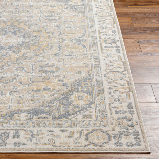 Surya Santana SNN-2307 Cream Traditional  Rug