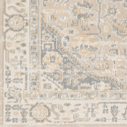 Surya Santana SNN-2307 Cream Traditional  Rug