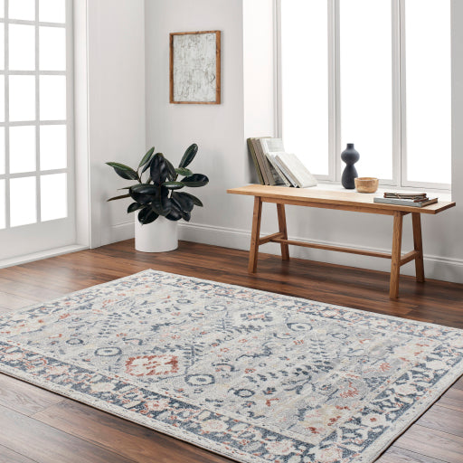 Surya Santana SNN-2308 Cream Traditional  Rug