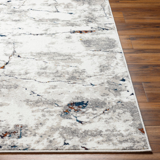 Surya Soldado SOD-2302 White Modern  Rug