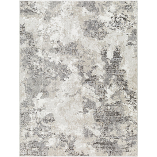 Surya Soldado SOD-2305 Medium Gray Modern  Rug