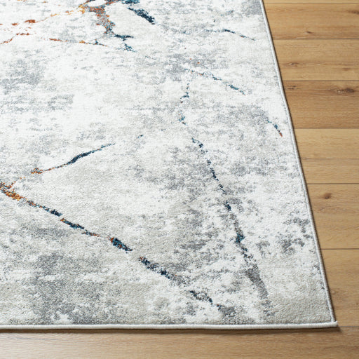 Surya Soldado SOD-2306 White Modern  Rug