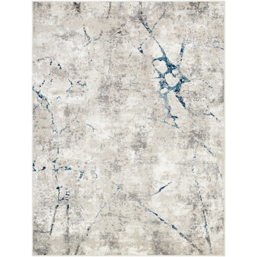 Surya Soldado SOD-2307 Medium Gray Modern  Rug