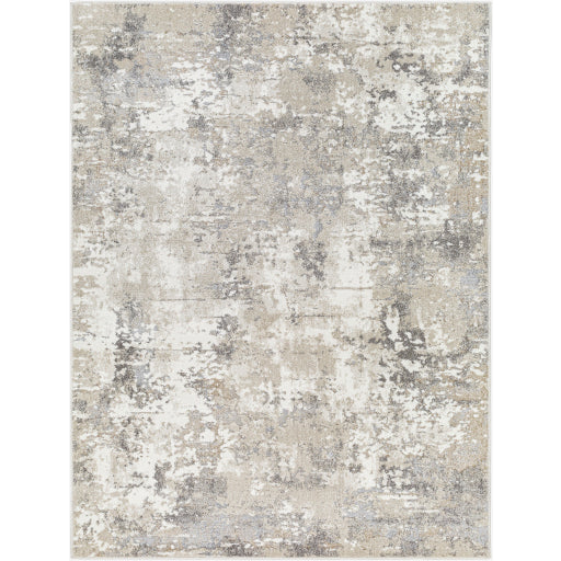 Surya Soldado SOD-2310 Medium Gray Modern  Rug