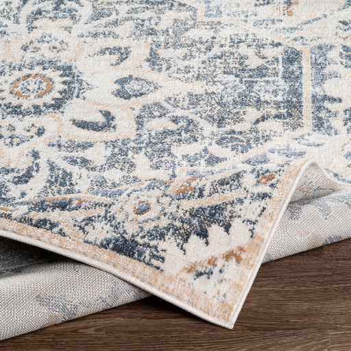 Surya St Tropez SRZ-2300 Denim Traditional  Rug