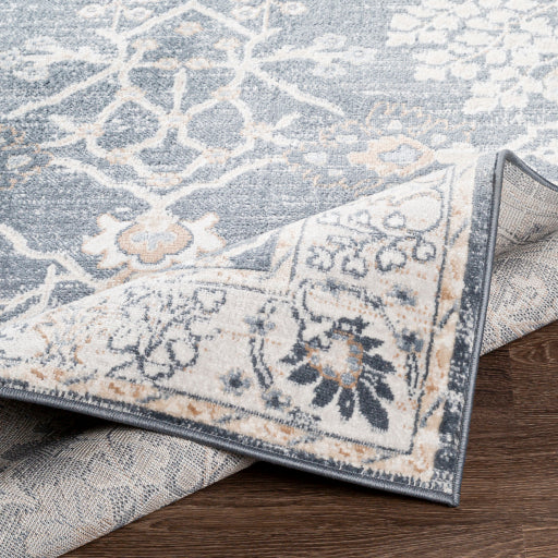 Surya St Tropez SRZ-2310 Denim Traditional  Rug