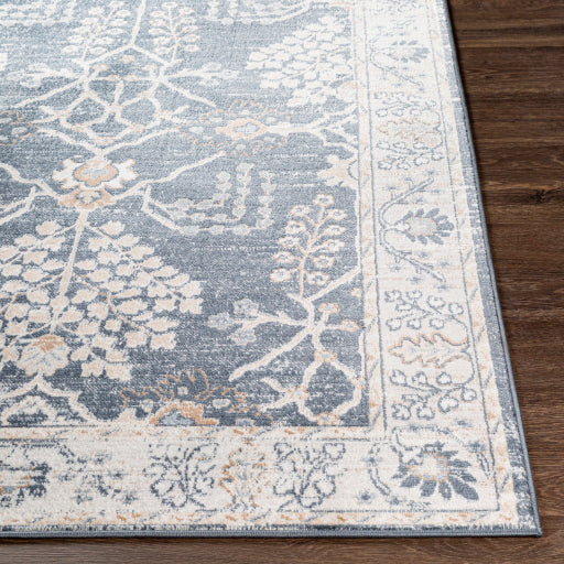 Surya St Tropez SRZ-2310 Denim Traditional  Rug