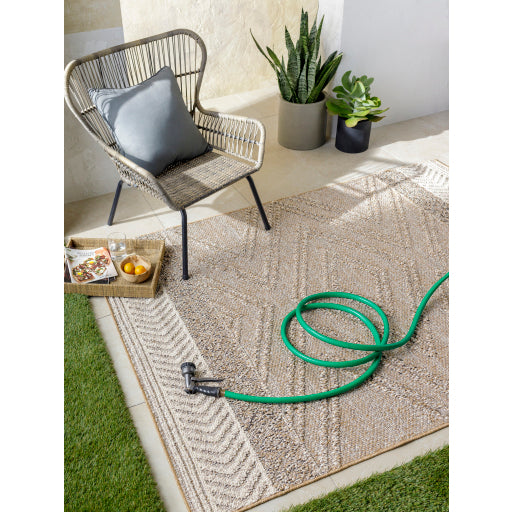 Surya Sarasota SSO-2300 Taupe Modern  Rug