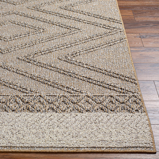 Surya Sarasota SSO-2300 Taupe Modern  Rug