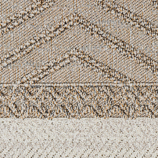 Surya Sarasota SSO-2300 Taupe Modern  Rug