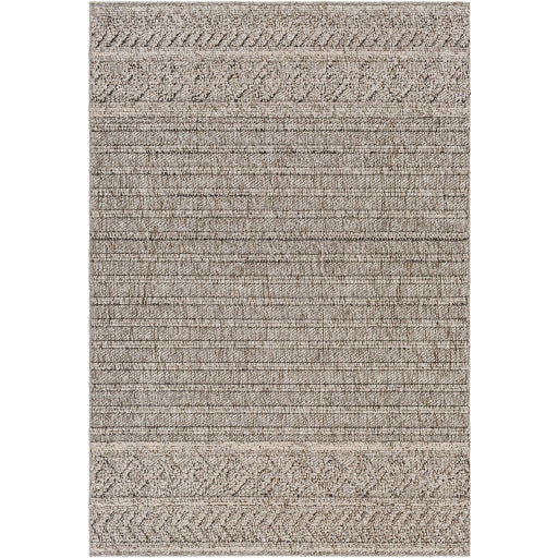 Surya Sarasota SSO-2303 Brown Modern  Rug