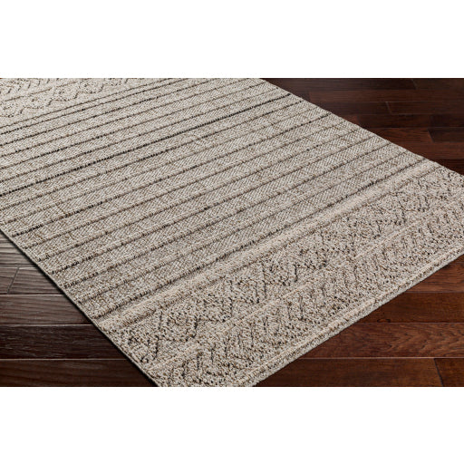 Surya Sarasota SSO-2303 Brown Modern  Rug