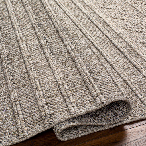 Surya Sarasota SSO-2303 Brown Modern  Rug