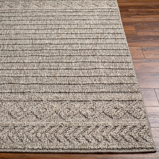 Surya Sarasota SSO-2303 Brown Modern  Rug