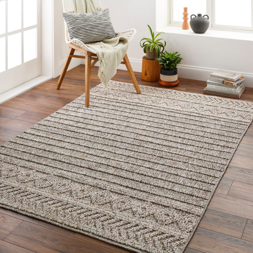 Surya Sarasota SSO-2303 Brown Modern  Rug