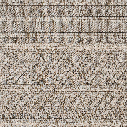 Surya Sarasota SSO-2303 Brown Modern  Rug