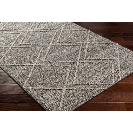 Surya Sarasota SSO-2306 Brown Modern  Rug