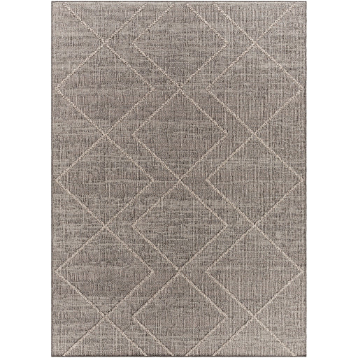 Surya Sarasota SSO-2306 Brown Modern  Rug