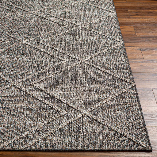 Surya Sarasota SSO-2306 Brown Modern  Rug