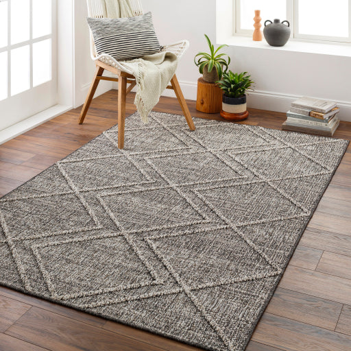 Surya Sarasota SSO-2306 Brown Modern  Rug