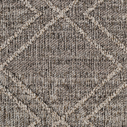 Surya Sarasota SSO-2306 Brown Modern  Rug