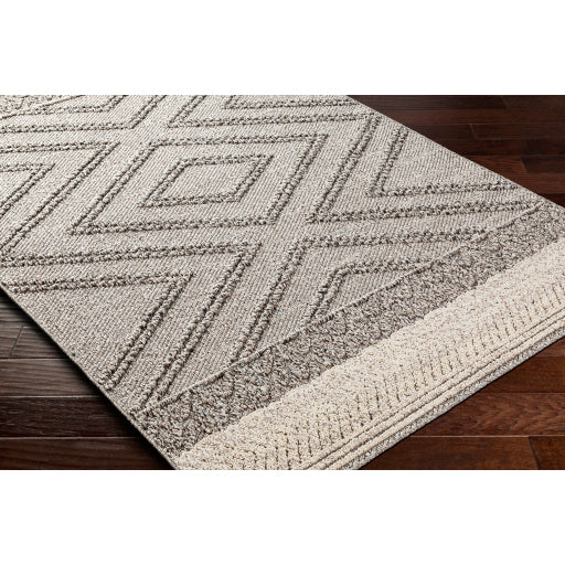 Surya Sarasota SSO-2308 Light Beige Modern  Rug