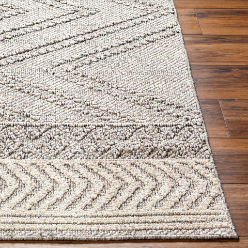 Surya Sarasota SSO-2308 Light Beige Modern  Rug