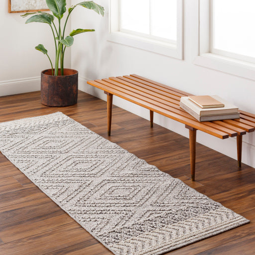 Surya Sarasota SSO-2308 Light Beige Modern  Rug