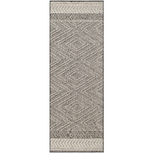 Surya Sarasota SSO-2309 Brown Modern  Rug