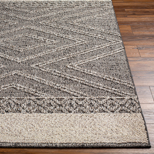 Surya Sarasota SSO-2309 Brown Modern  Rug