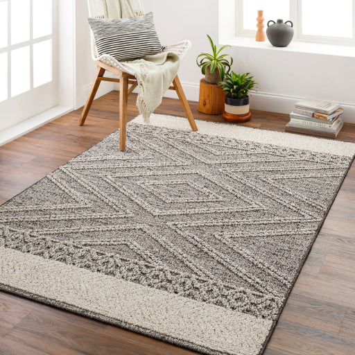 Surya Sarasota SSO-2309 Brown Modern  Rug