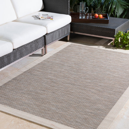 Surya Santa Cruz STZ-6002 Taupe Modern  Rug