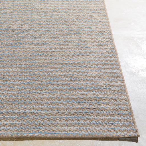 Surya Santa Cruz STZ-6009 Blue Modern  Rug