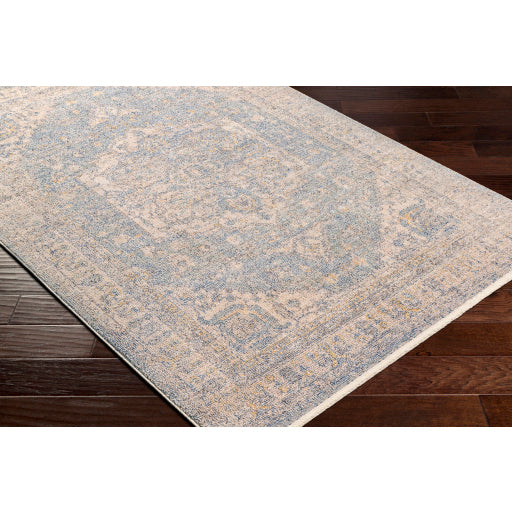 Surya Subtle SUB-2306 Light Blue Traditional  Rug