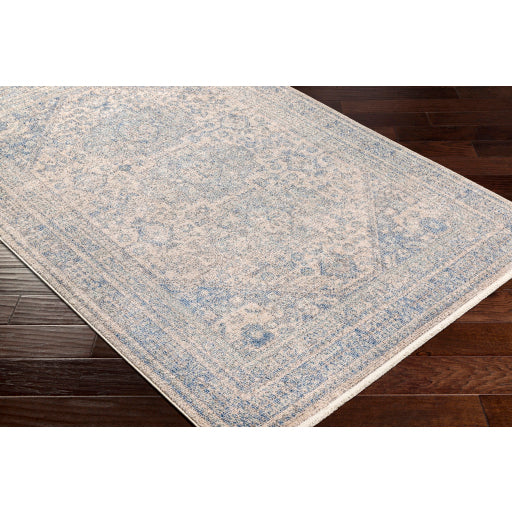 Surya Subtle SUB-2310 Light Blue Traditional  Rug