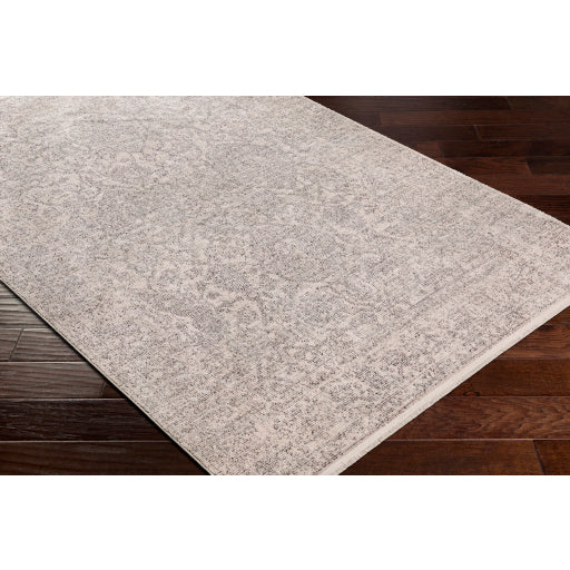 Surya Subtle SUB-2315 Light Gray Traditional  Rug