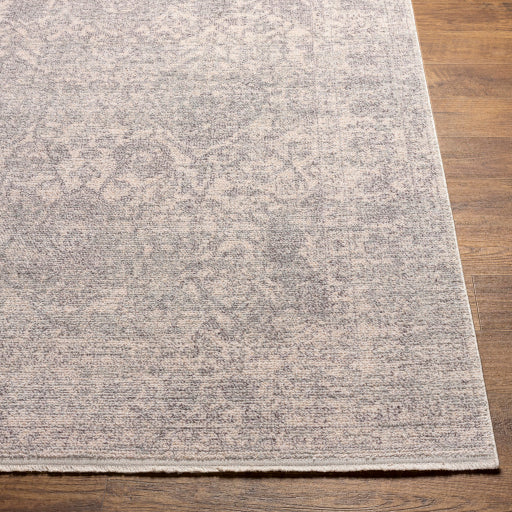 Surya Subtle SUB-2315 Light Gray Traditional  Rug